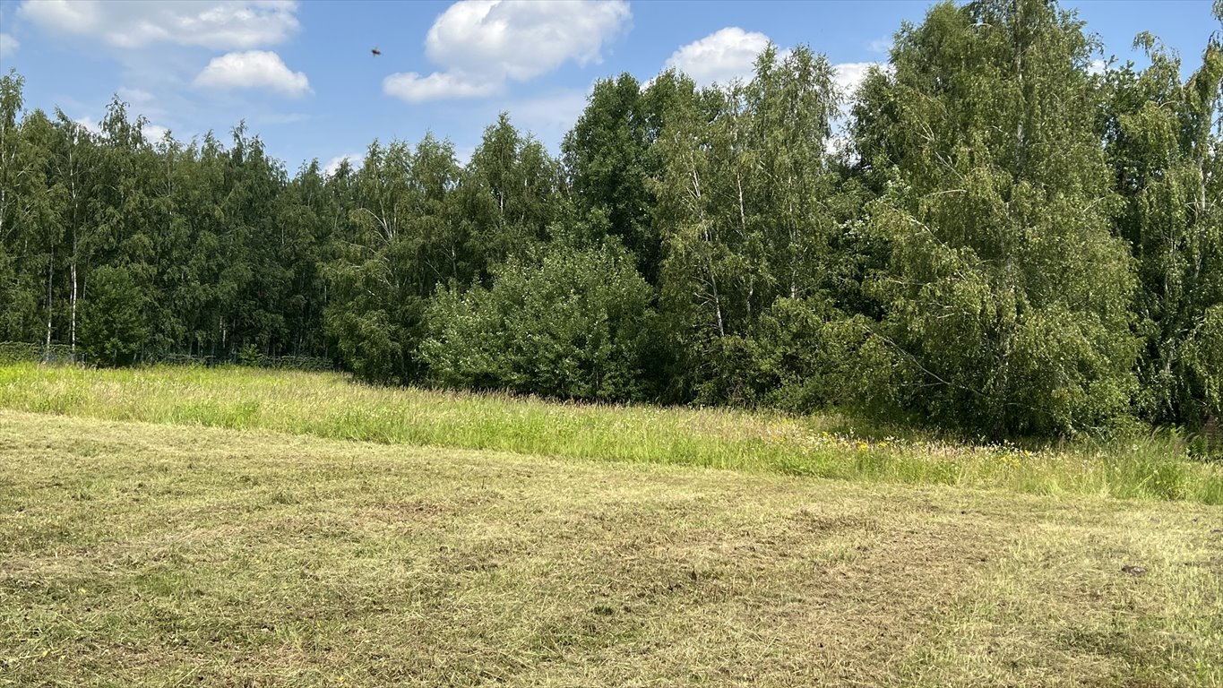 Działka budowlana na sprzedaż Kierszek, Prawdziwka  3 000m2 Foto 3