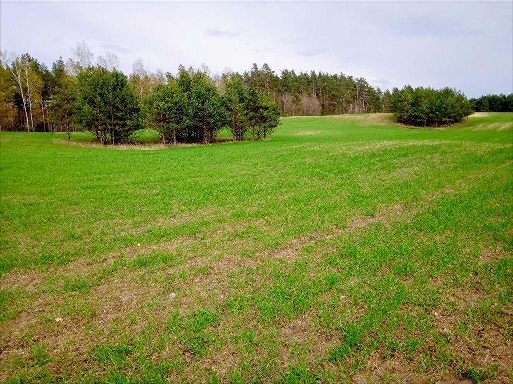 Działka rekreacyjna na sprzedaż Stare Juchy, Stare Juchy  3 000m2 Foto 7