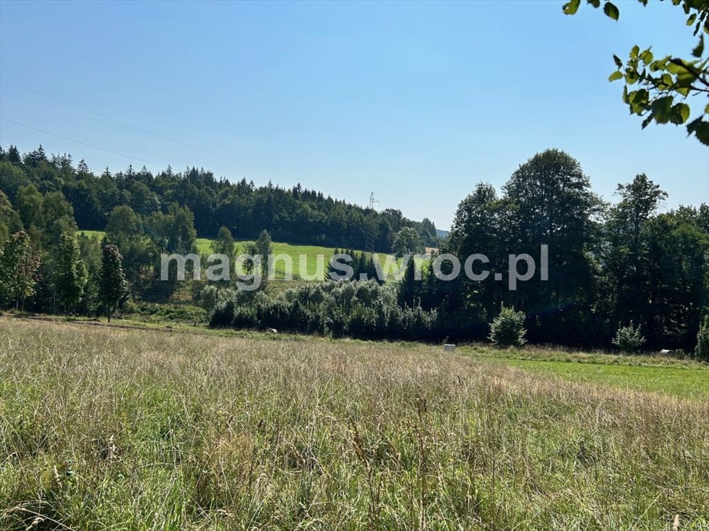 Działka budowlana na sprzedaż Głuszyca, okolice Gdańskiej  1 519m2 Foto 14