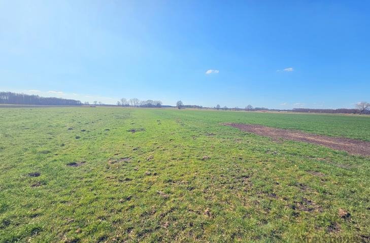 Działka rolna 26 543 m² w Niałek Wielki z dostępem do drogi Niałek Wielki  26 543m2 Foto 1