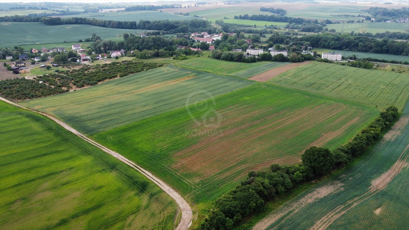 Działka rolna na sprzedaż Sędzice  26 950m2 Foto 6