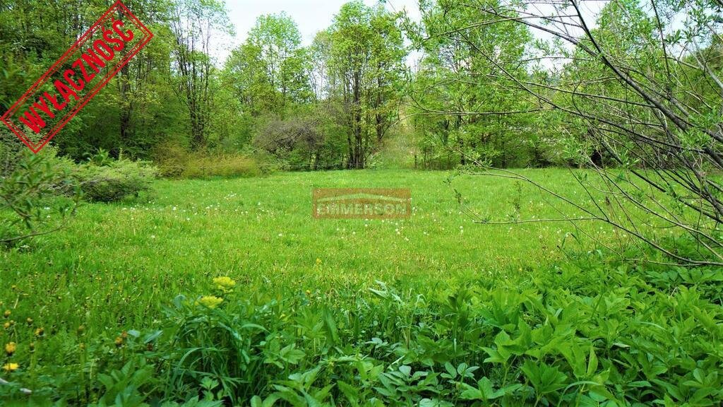 Działka budowlana na sprzedaż Nowica  6 000m2 Foto 3