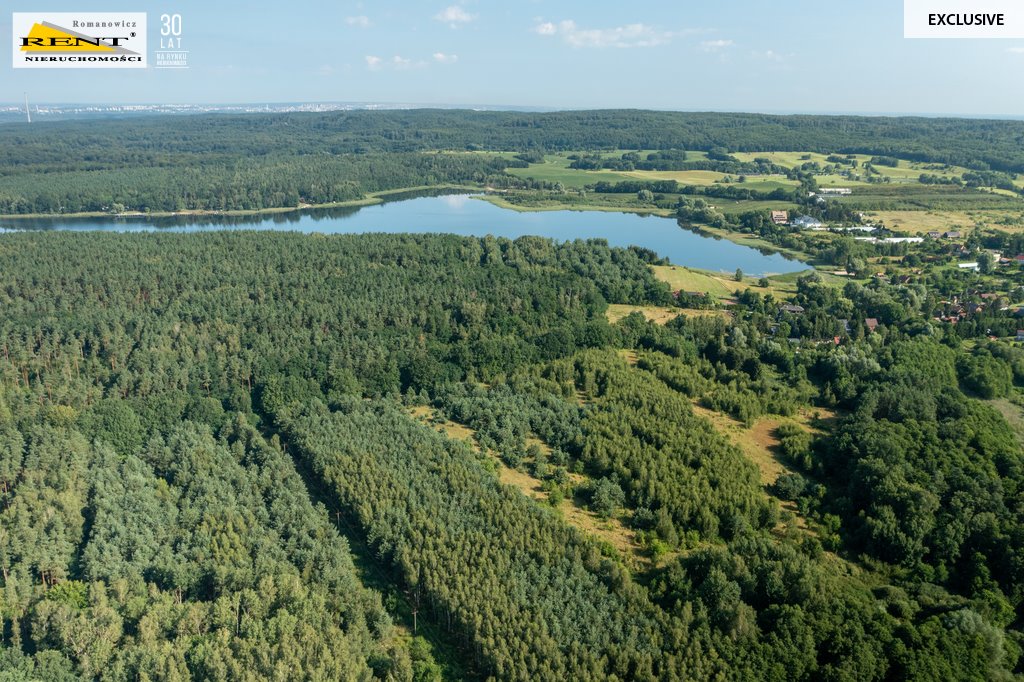 Działka 1,16 ha pod aktywny wypoczynek i inwestycję Binowo  11 614m2 Foto 1