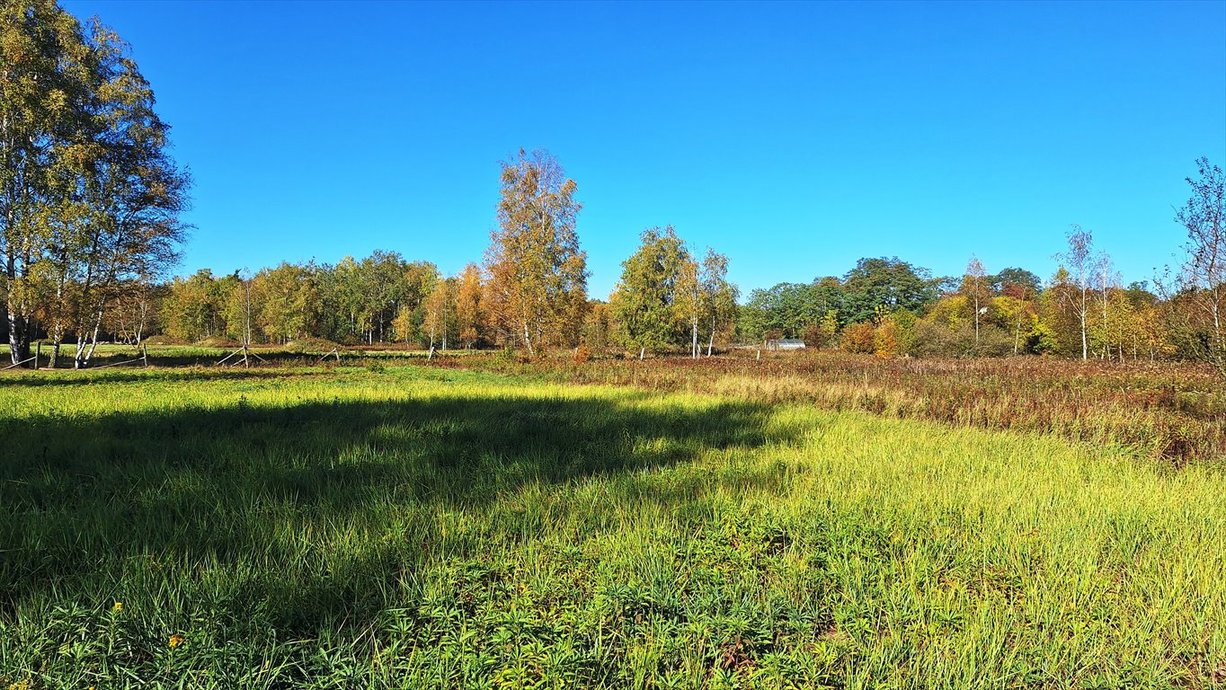 Działka budowlana na sprzedaż Łomianki, Dąbrowa, Prosta  1 005m2 Foto 1