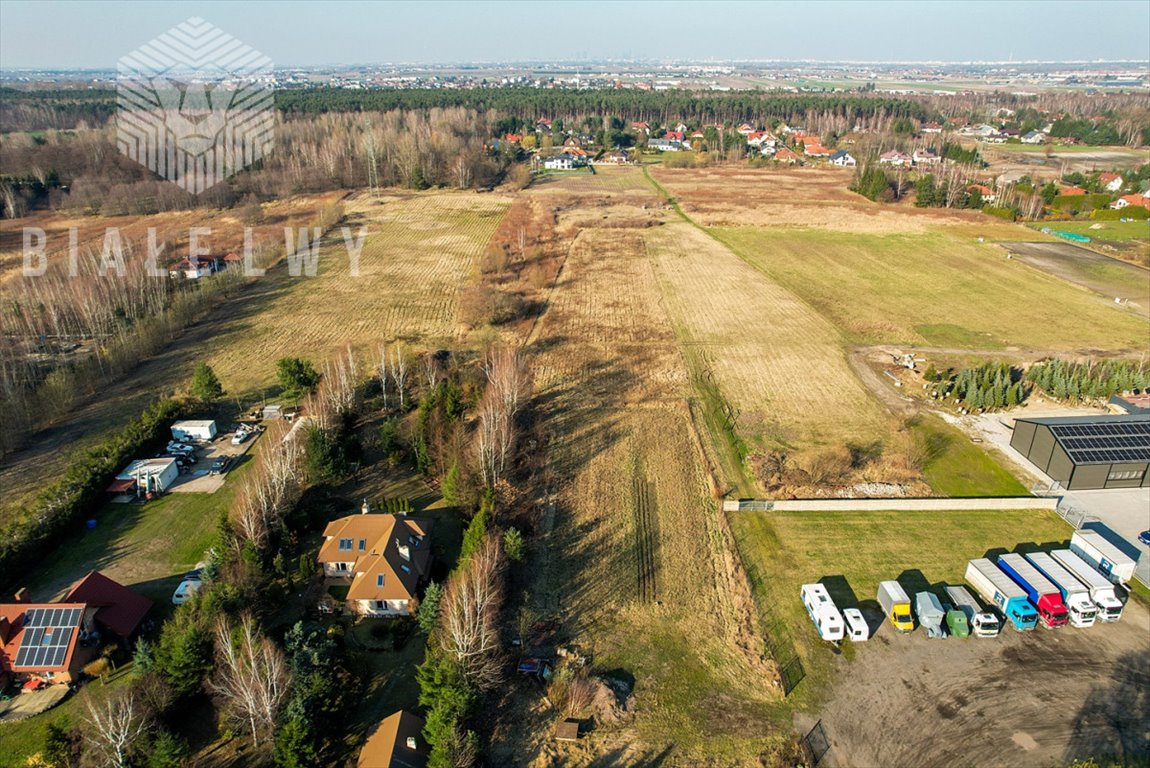 Działka budowlana na sprzedaż Wilcza Góra, Polna  2 519m2 Foto 3