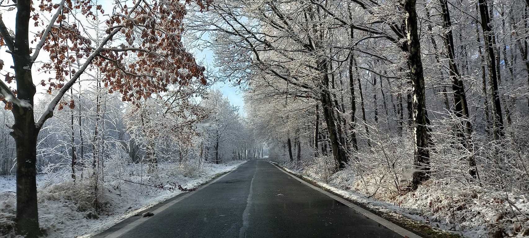 Działka budowlana na sprzedaż Tworóg Mały, Brzozowa  800m2 Foto 4