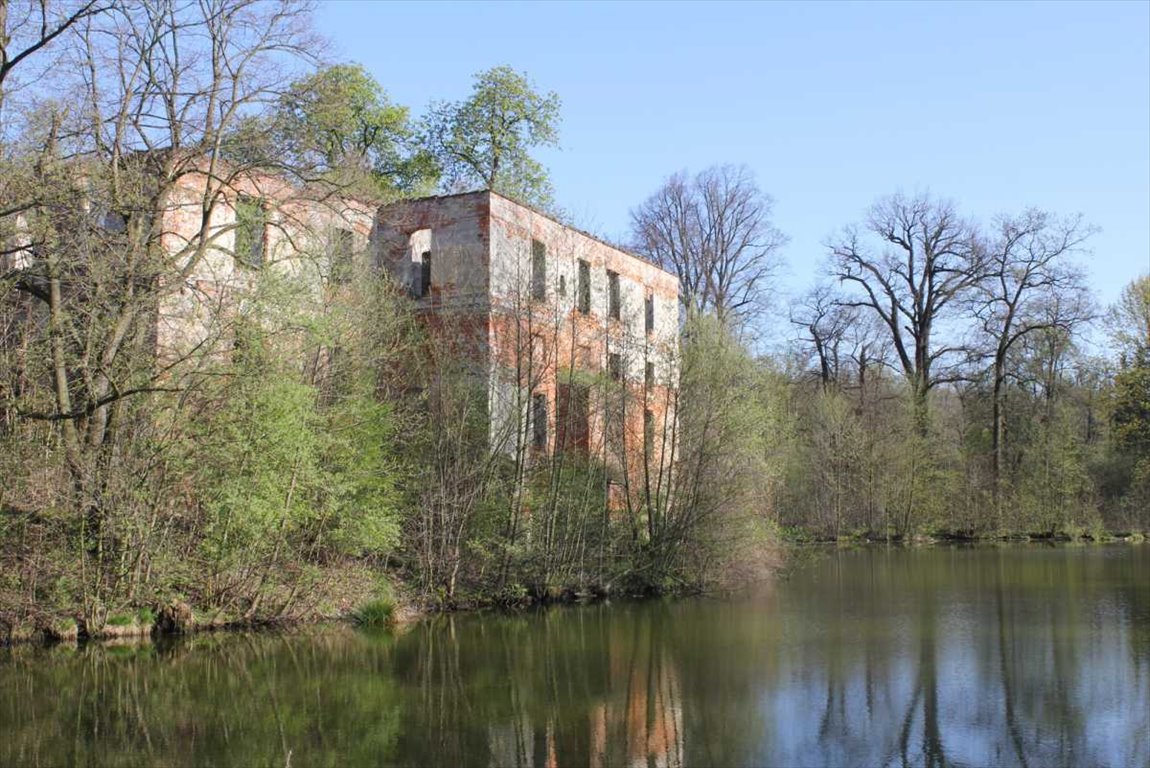 Lokal użytkowy na sprzedaż Szczepanów  2 000m2 Foto 4