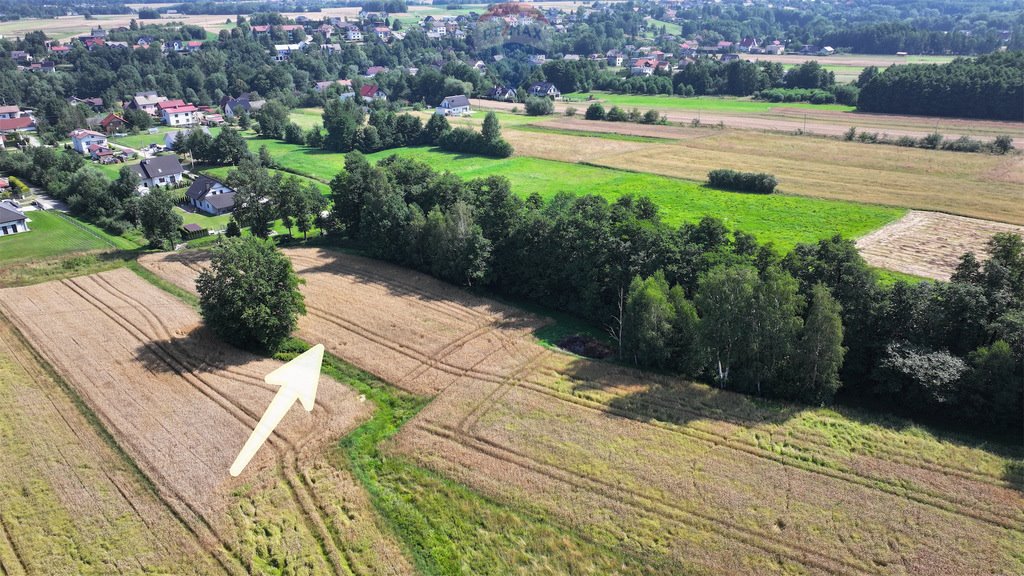 Działka rolna na sprzedaż Czaniec  4 082m2 Foto 15