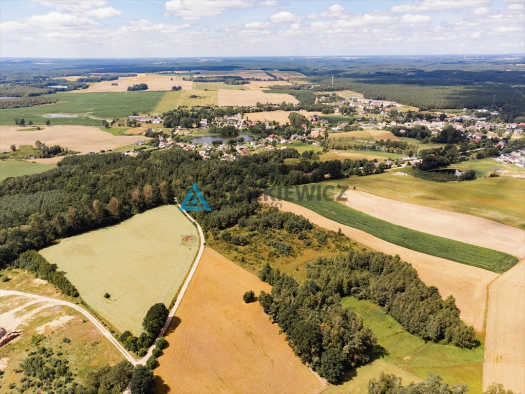 Działka rolna na sprzedaż Czarna Dąbrówka, Kaszubska  30 100m2 Foto 5