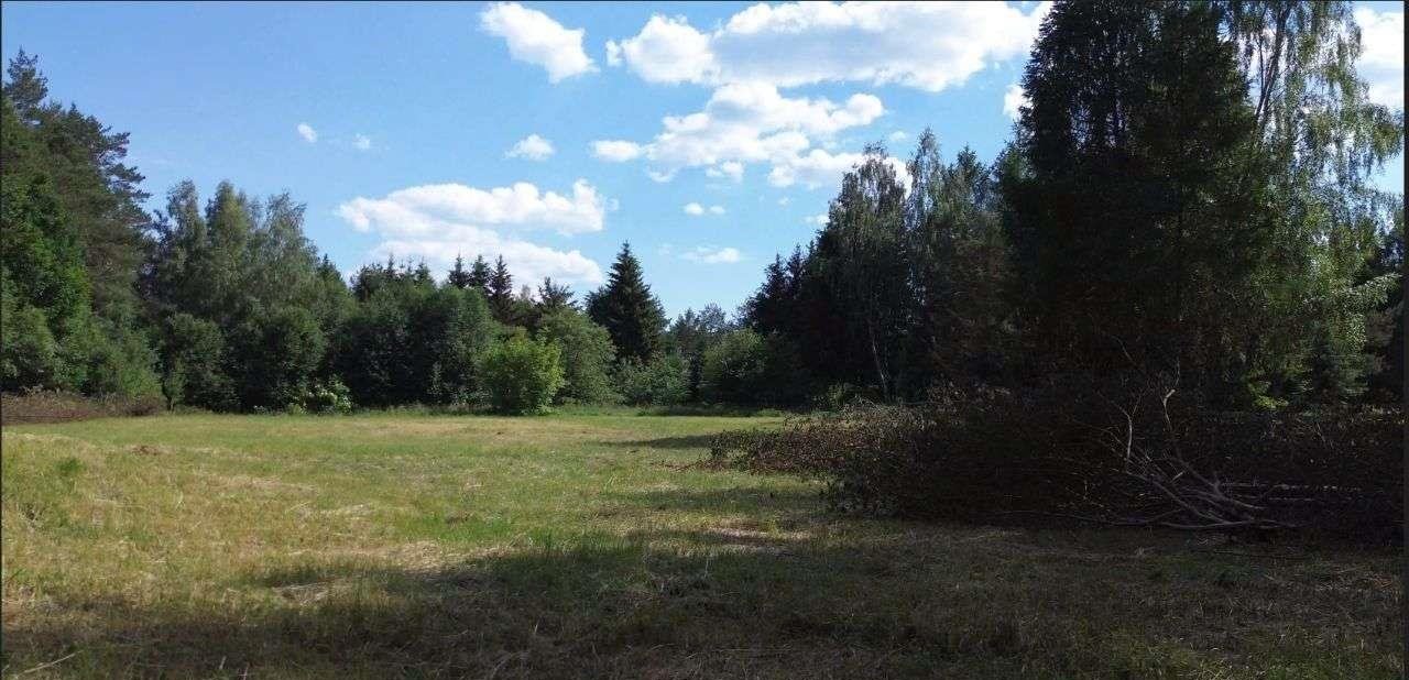 Działka rekreacyjna na sprzedaż Warchały  5 000m2 Foto 4