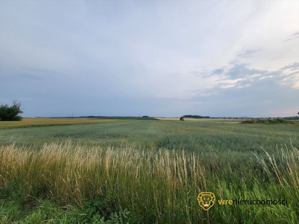 Działka budowlana na sprzedaż Syców  13 100m2 Foto 3