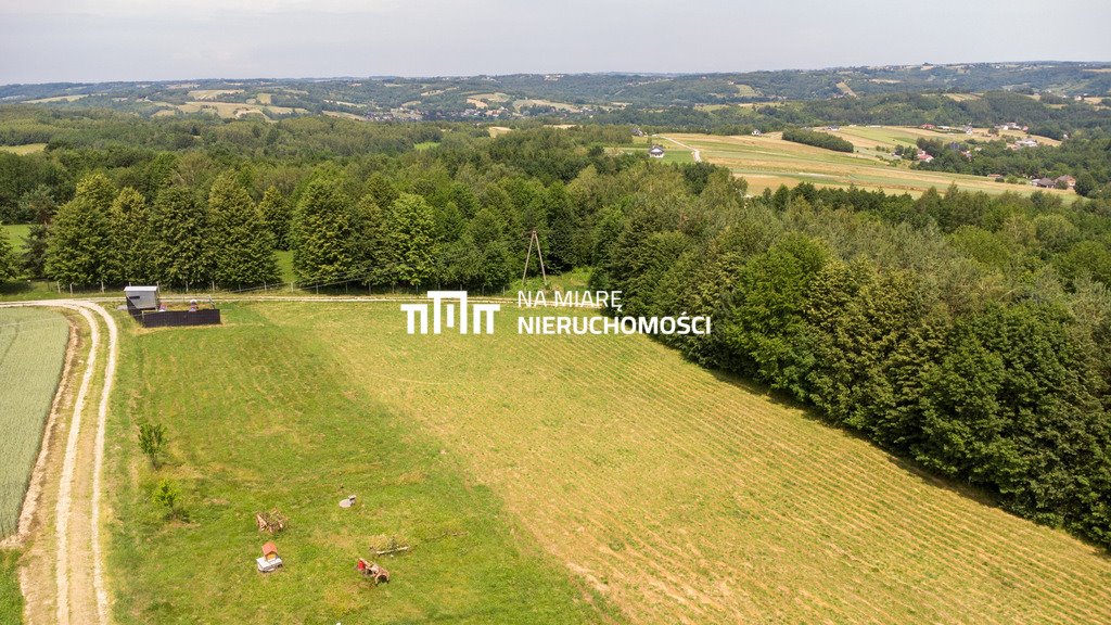 Zapraszam do zakupu działki 29,5 arów z warunkami zabudowy Błażowa Dolna  2 950m2 Foto 1