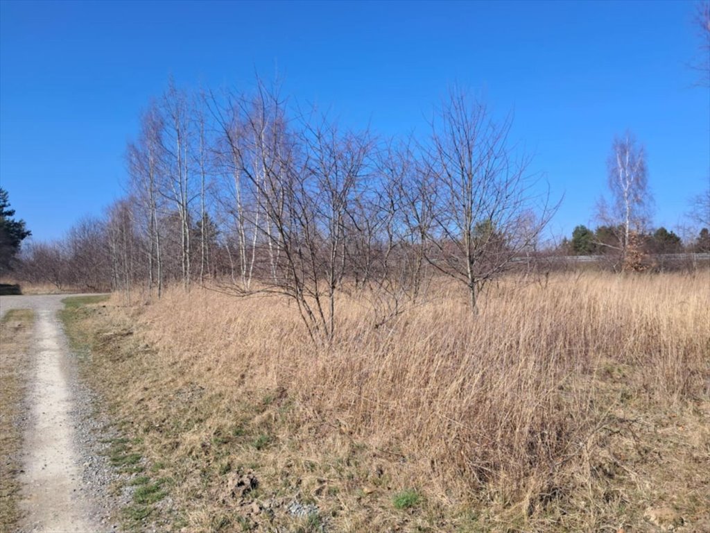 Działka budowlana na sprzedaż Rudna Mała  988m2 Foto 1