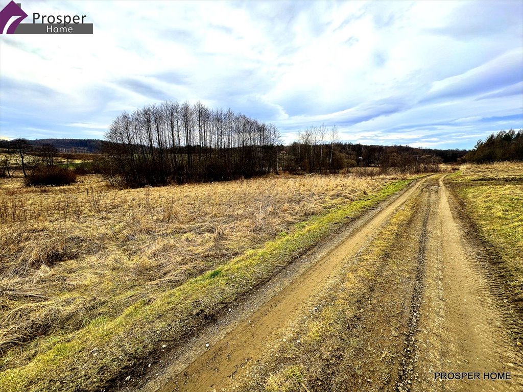 Działka inna na sprzedaż Hadle Kańczuckie  5 100m2 Foto 2