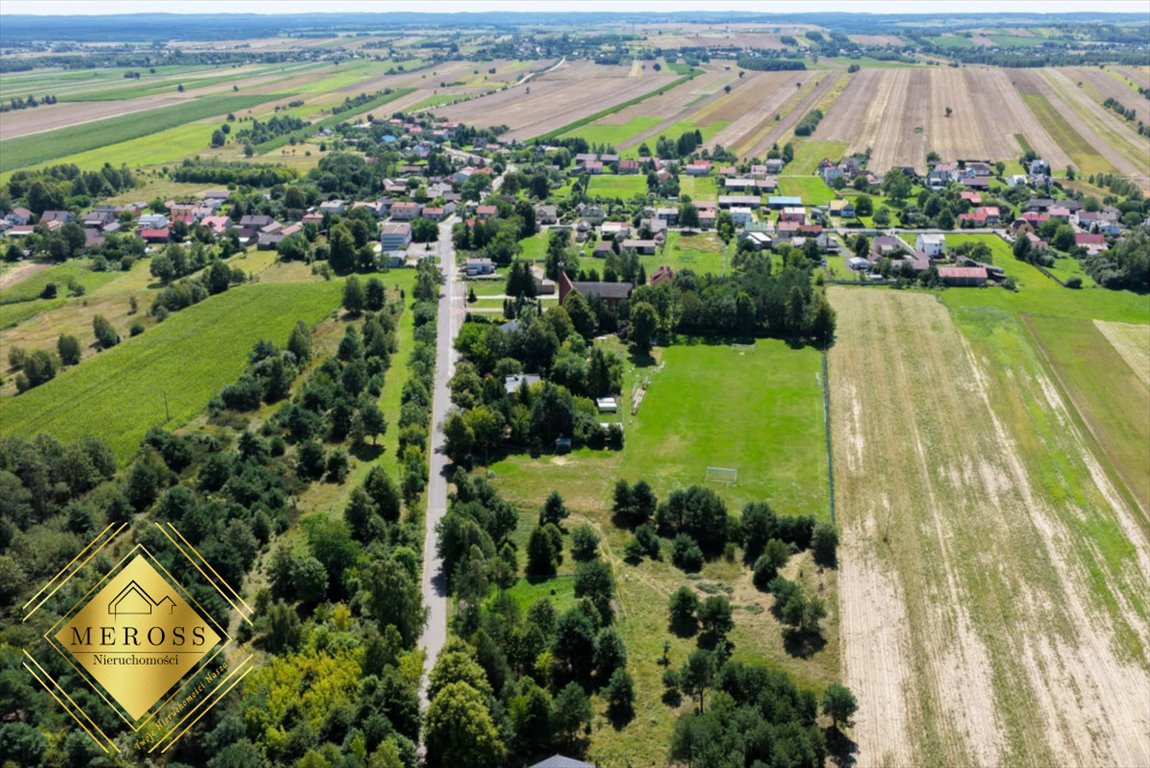 Zapraszam do zakupu działki 802 m² z mikro lasem w Krasicach Krasice  802m2 Foto 1