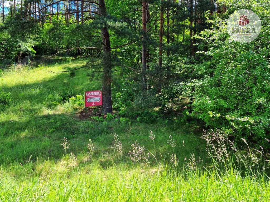 Działka budowlana na sprzedaż Pluski, ul. Pluszna  700m2 Foto 2