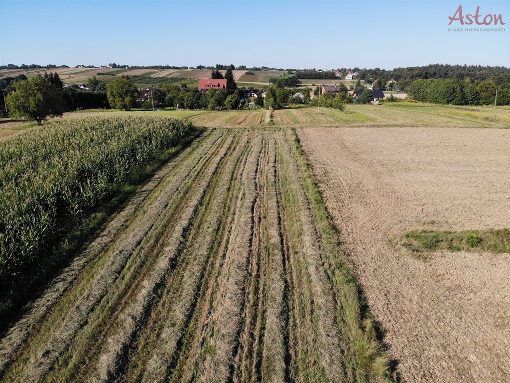 Działka budowlana na sprzedaż Maszków  9 800m2 Foto 3