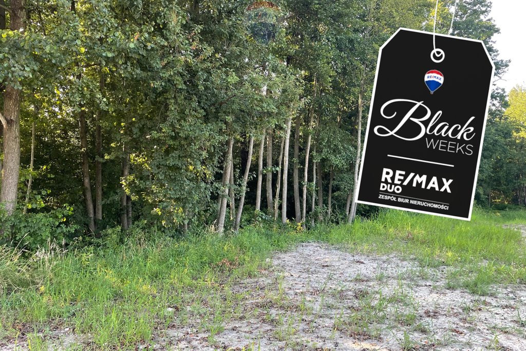 Działka budowlana na sprzedaż Krzeczów  3 621m2 Foto 1