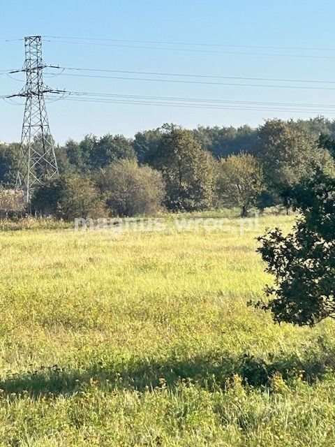 Działka rolna na sprzedaż Wrocław, Psie Pole, Kowale, boczna Lechitów  4 032m2 Foto 2