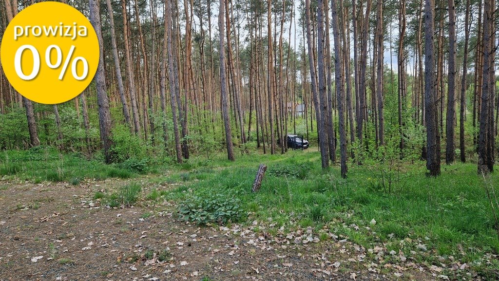 Działka rekreacyjna na sprzedaż Adamowo  4 600m2 Foto 9