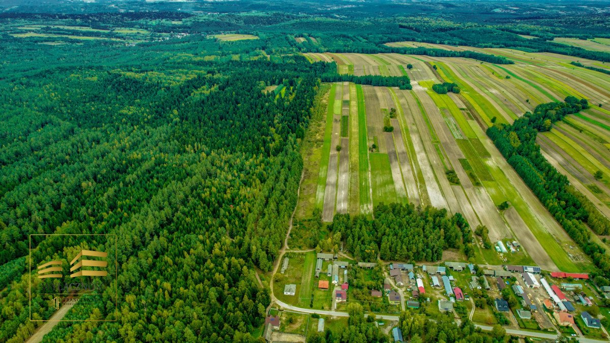 Działka 5,4 ha z domem, lasem i mediami w Roztoczu Stanisławów, Józefów  53 830m2 Foto 1