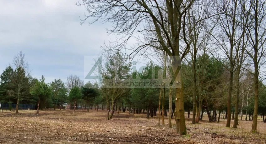 Działka 1000 m² z mediami, MPZP, las, blisko S8 Huta Żabiowolska  1 000m2 Foto 1