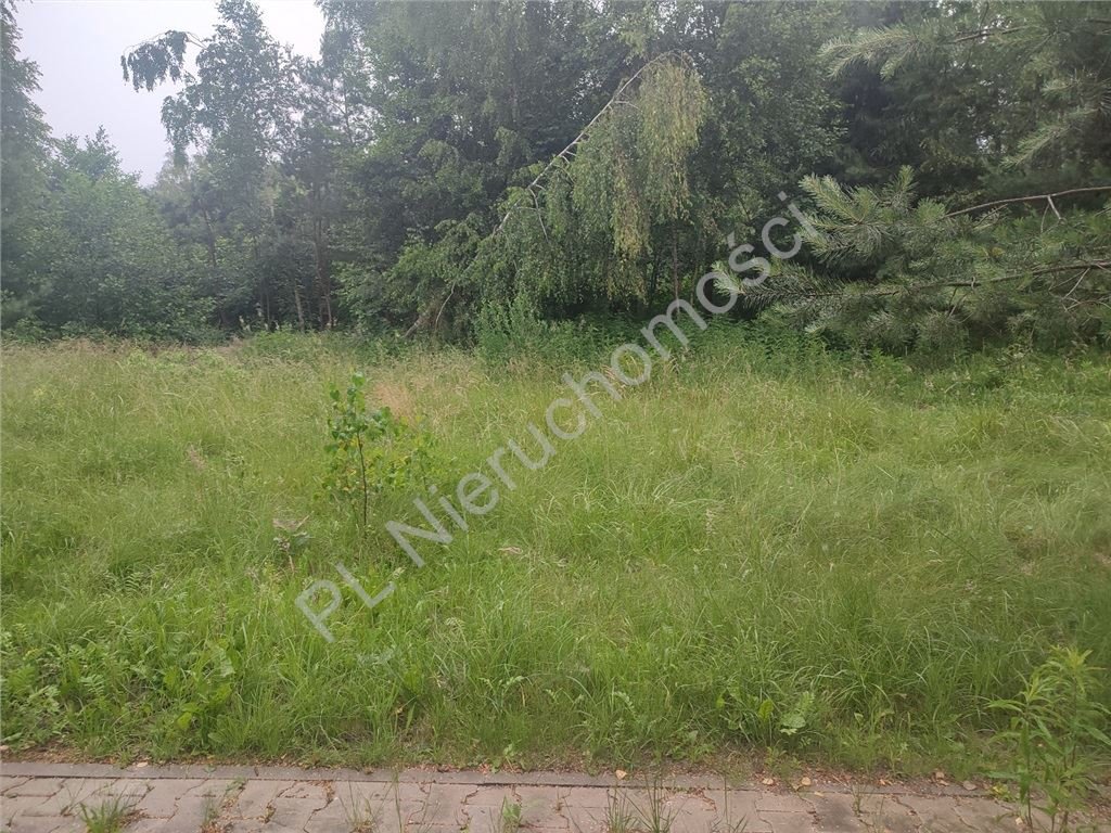 Działka budowlana na sprzedaż Komorów  4 200m2 Foto 5