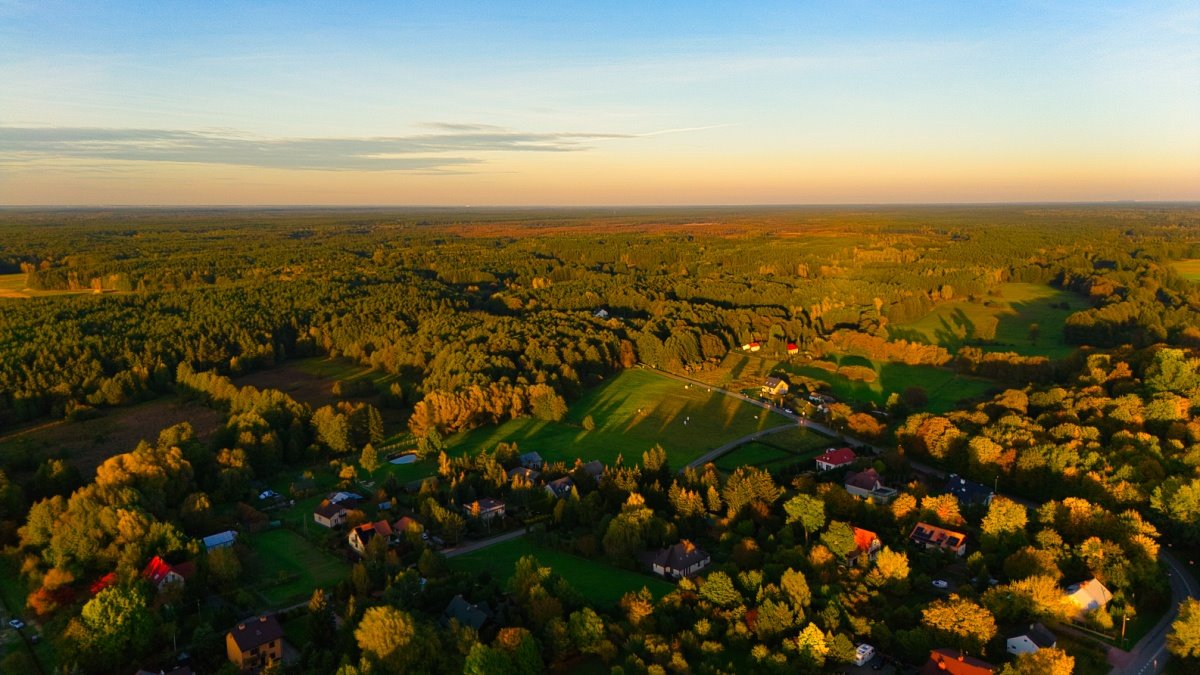 Działka budowlana na sprzedaż Kampinos, Partyzantów  1 687m2 Foto 3