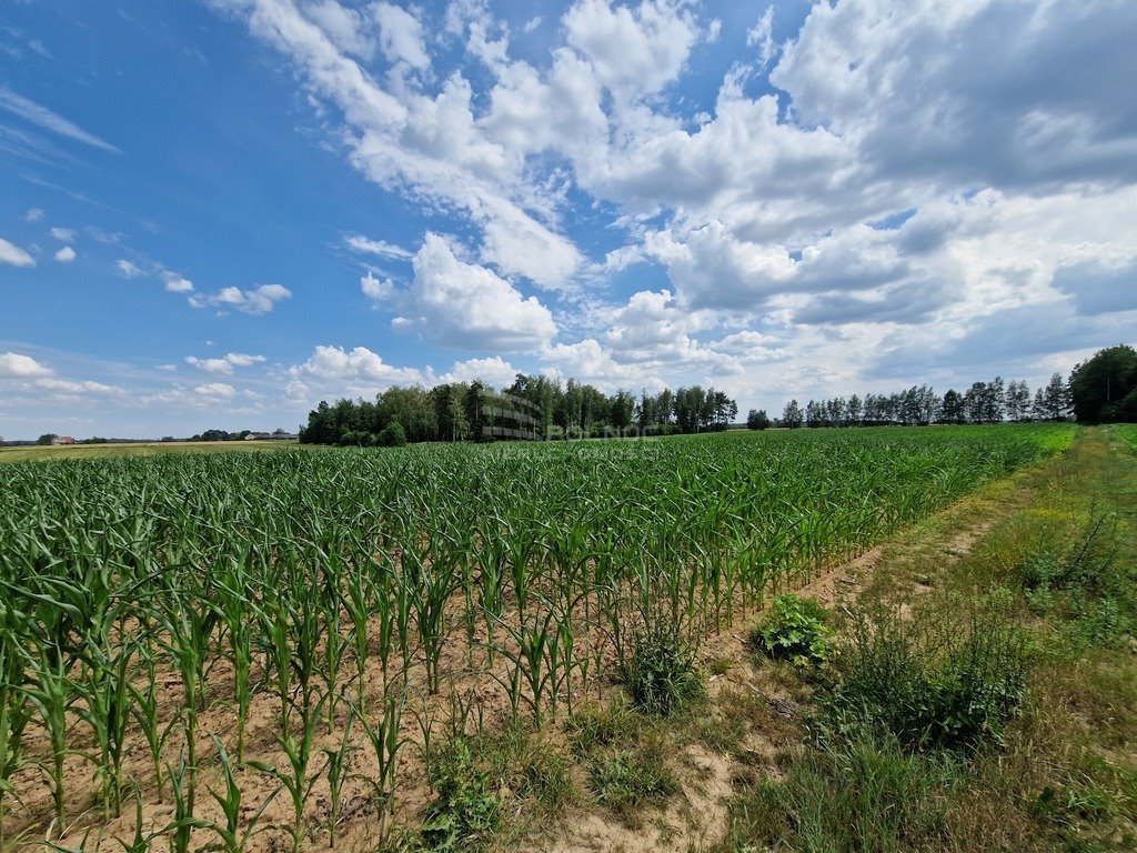 Działka rolna na sprzedaż Stelmachowo  39 700m2 Foto 12