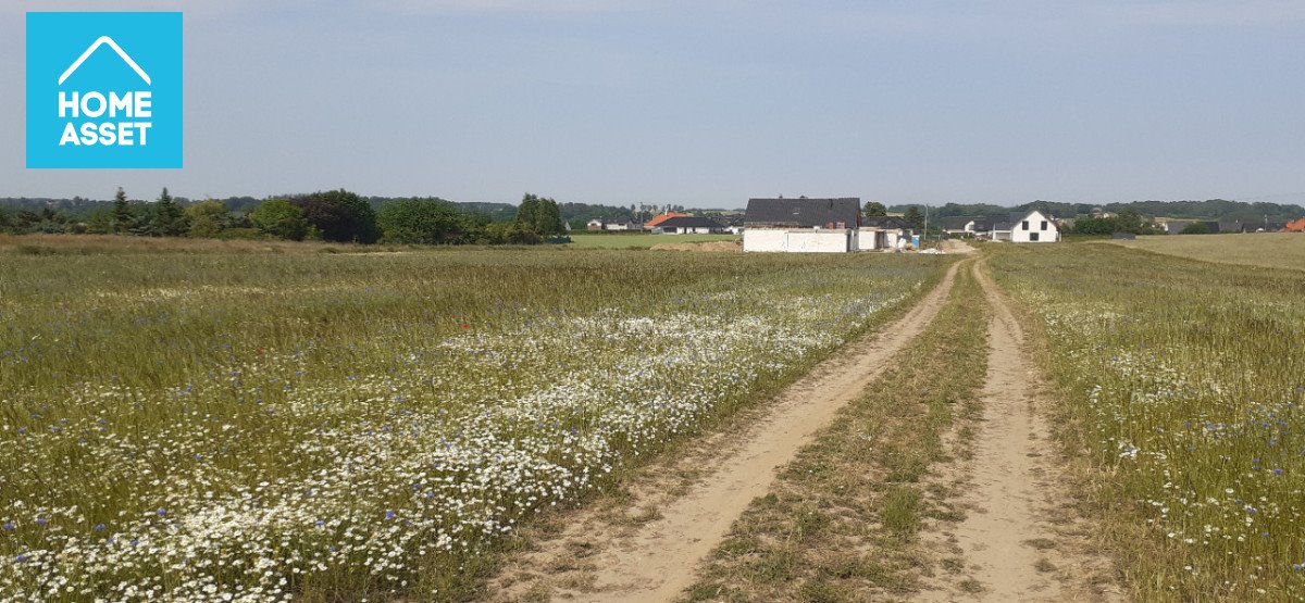 Działka budowlana na sprzedaż Warzno, Górna  1 027m2 Foto 8