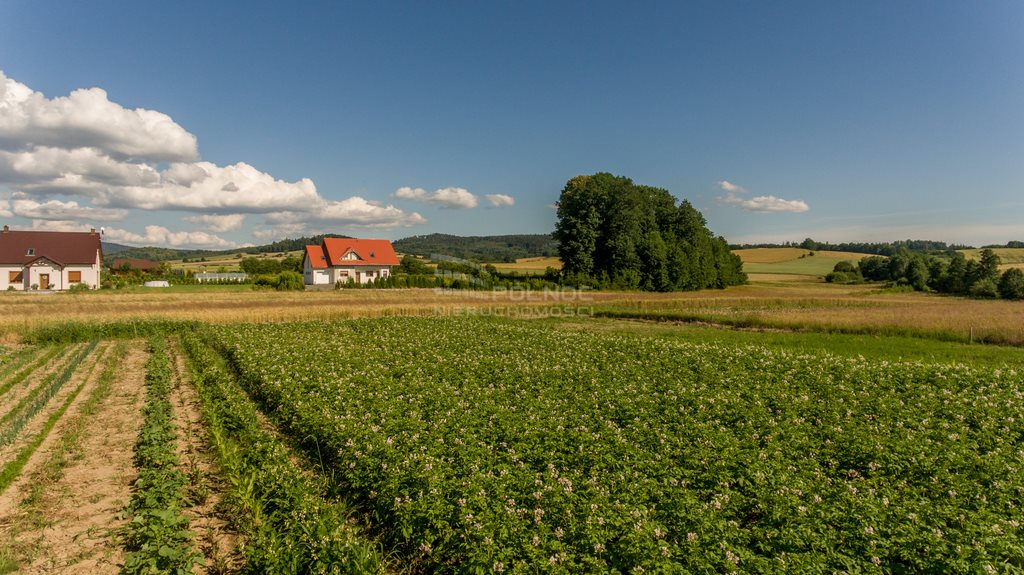 Działka budowlana na sprzedaż Jaszkowa Dolna  1 912m2 Foto 5