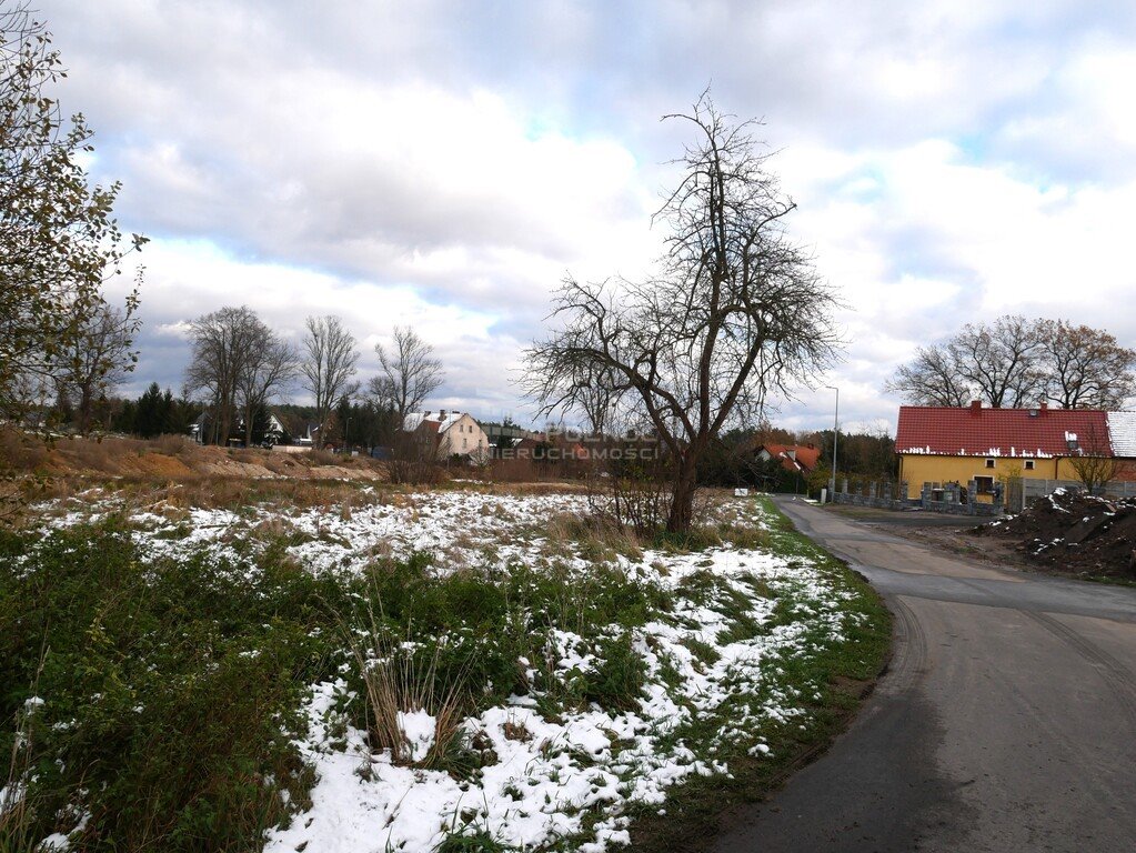 Działka budowlana na sprzedaż Brzeźnik  1 354m2 Foto 4