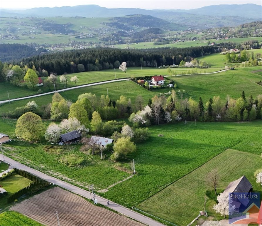 Działka budowlana na sprzedaż Stara Wieś  14 000m2 Foto 7