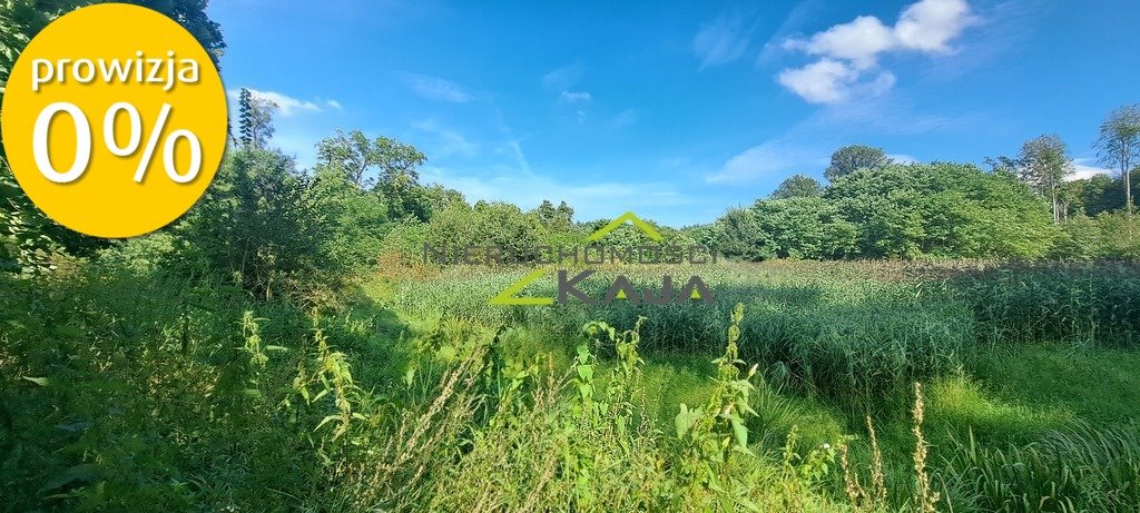 Działka siedliskowa na sprzedaż Nowe Biskupice  27 700m2 Foto 8