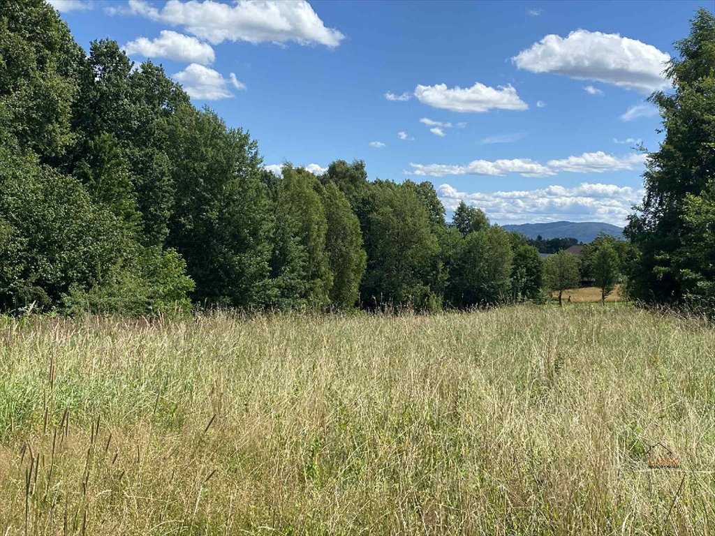 Działka 86 ar z widokiem na góry, media, zapraszam Frydrychowice  8 600m2 Foto 1