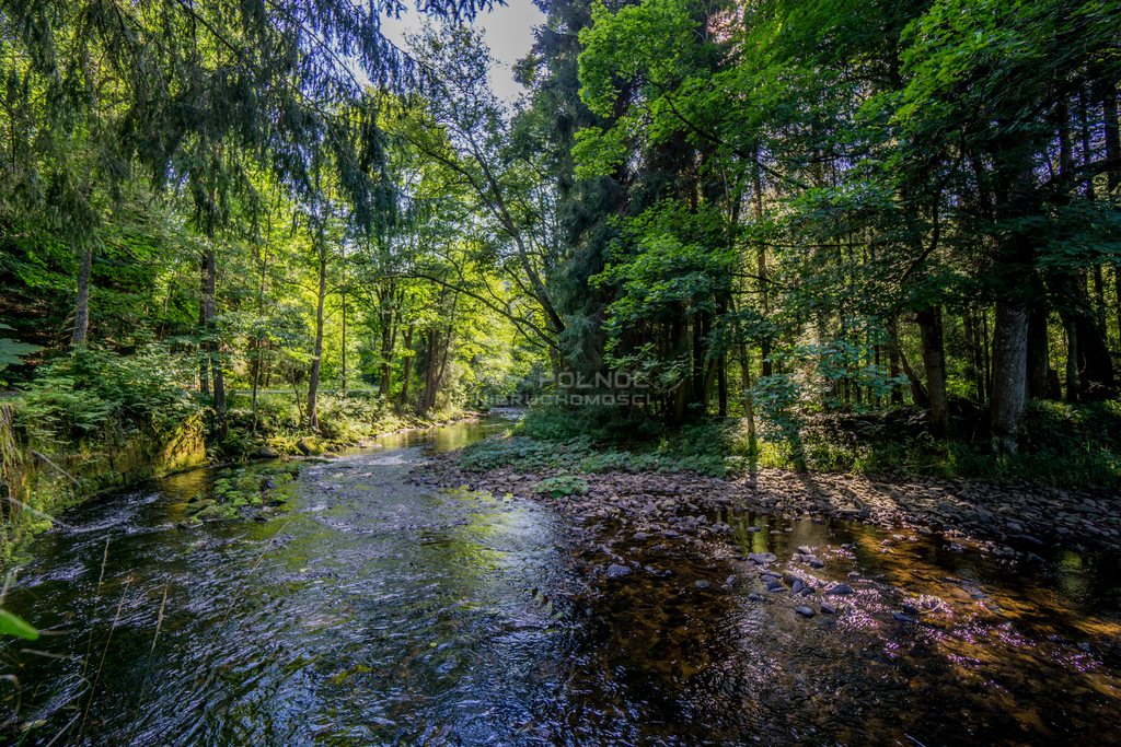 Dom na sprzedaż Niemojów  100m2 Foto 12