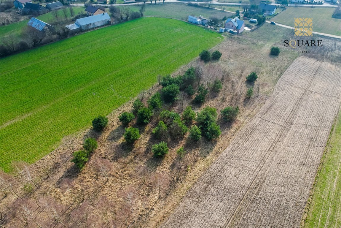 Działka budowlana na sprzedaż Krajęczyn  7 001m2 Foto 7