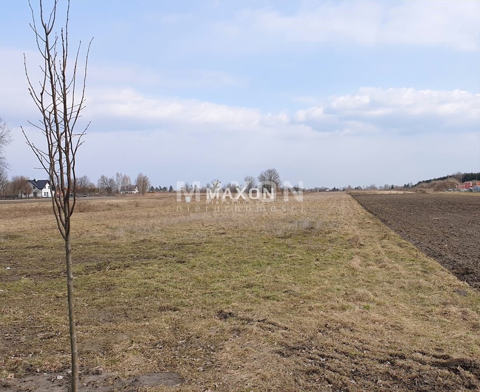 Działka budowlana na sprzedaż Turowice  20 346m2 Foto 10