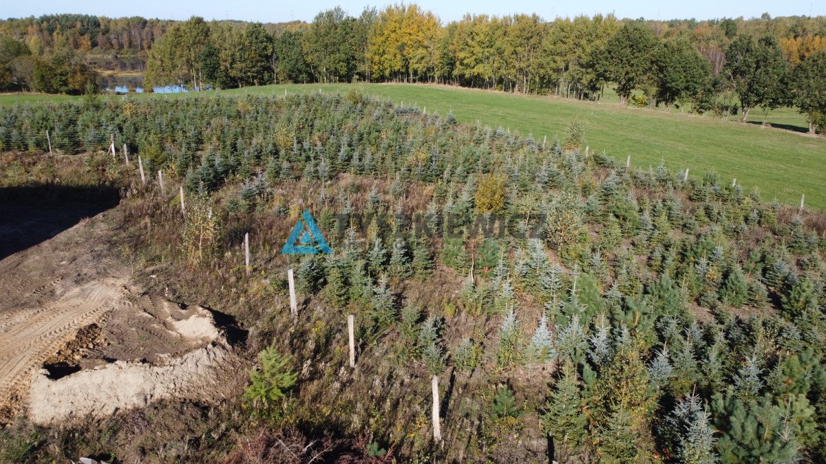 Działka budowlana na sprzedaż Węgorzynko  1 569m2 Foto 9