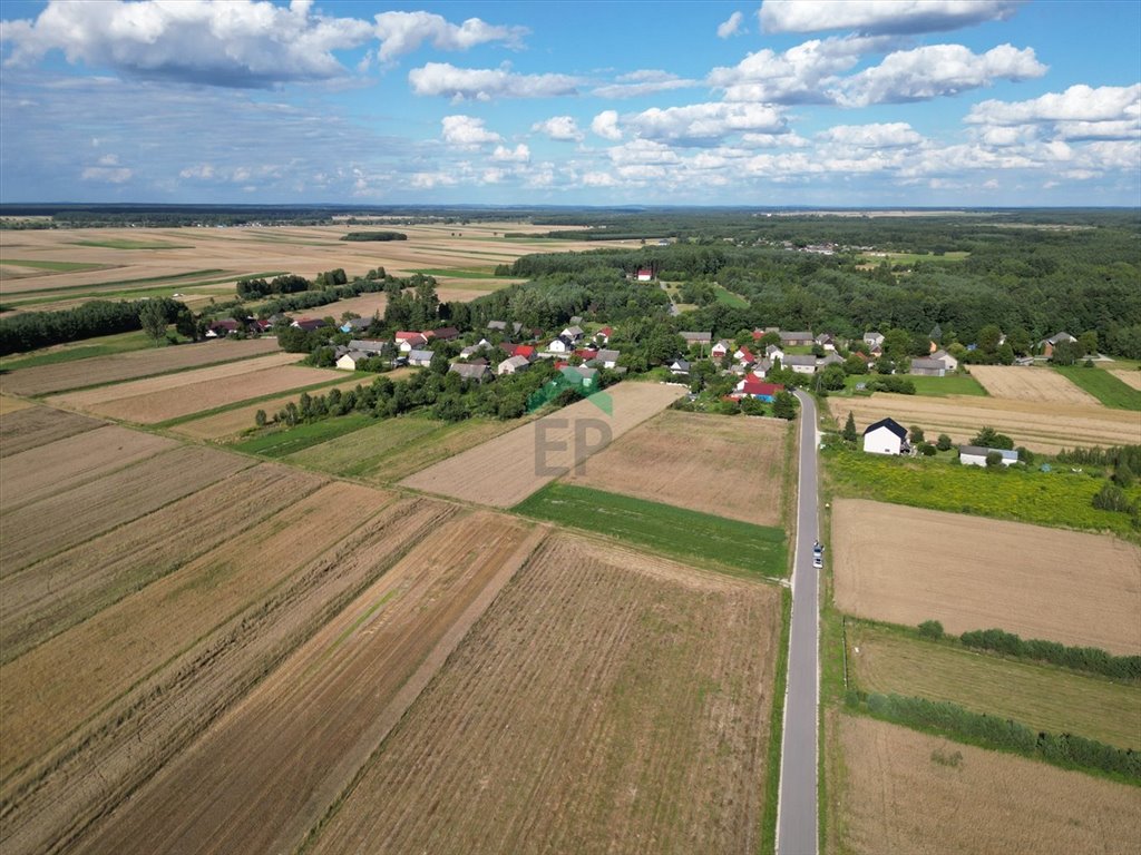 Działka budowlana na sprzedaż Dąbrówka  1 569m2 Foto 6