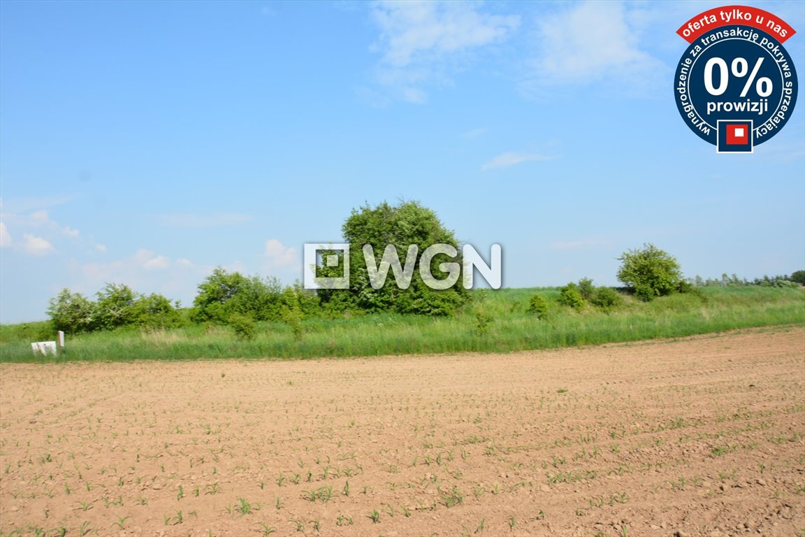 Działka budowlana na sprzedaż Koziki  2 200m2 Foto 5