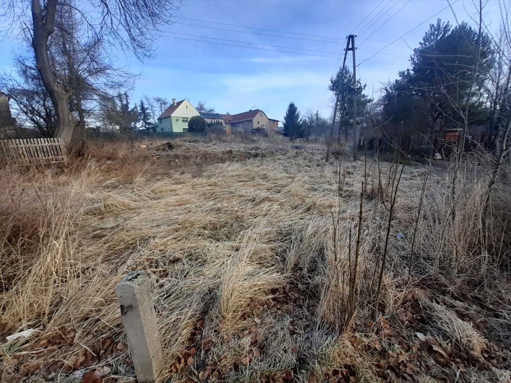 Działka budowlana na sprzedaż Walim, Dziećmorowice  1 200m2 Foto 3