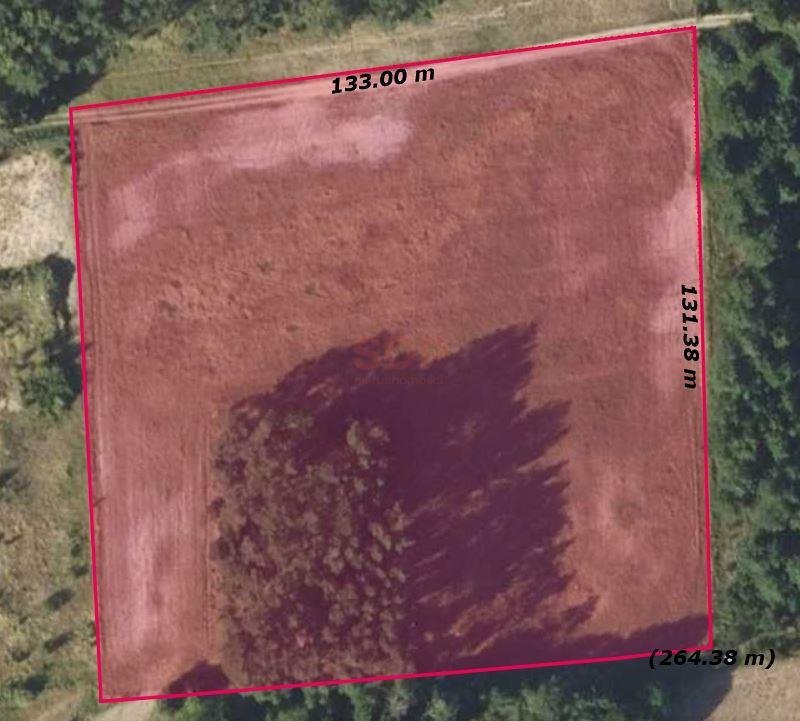 Działka budowlana na sprzedaż Kobyla Góra  16 850m2 Foto 1