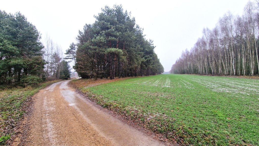 Działka budowlana na sprzedaż Smyków, Prosta  19 000m2 Foto 19