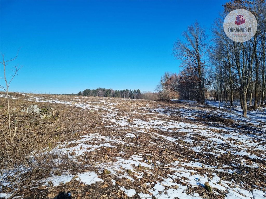 Działka budowlana na sprzedaż Giławy, Giławy  4 259m2 Foto 10