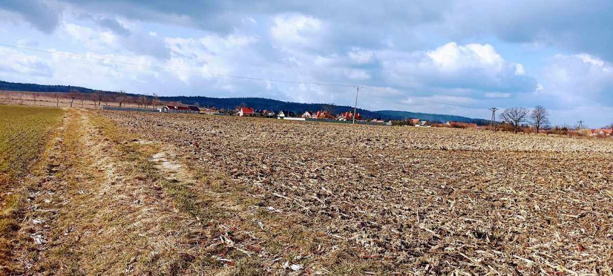 Działka 0,6ha pod zabudowę lub usługi turystyczne, blisko DK8 Niemcza  6 000m2 Foto 1