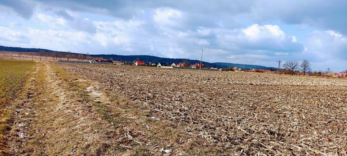 Działka inna na sprzedaż Niemcza  6 000m2 Foto 1