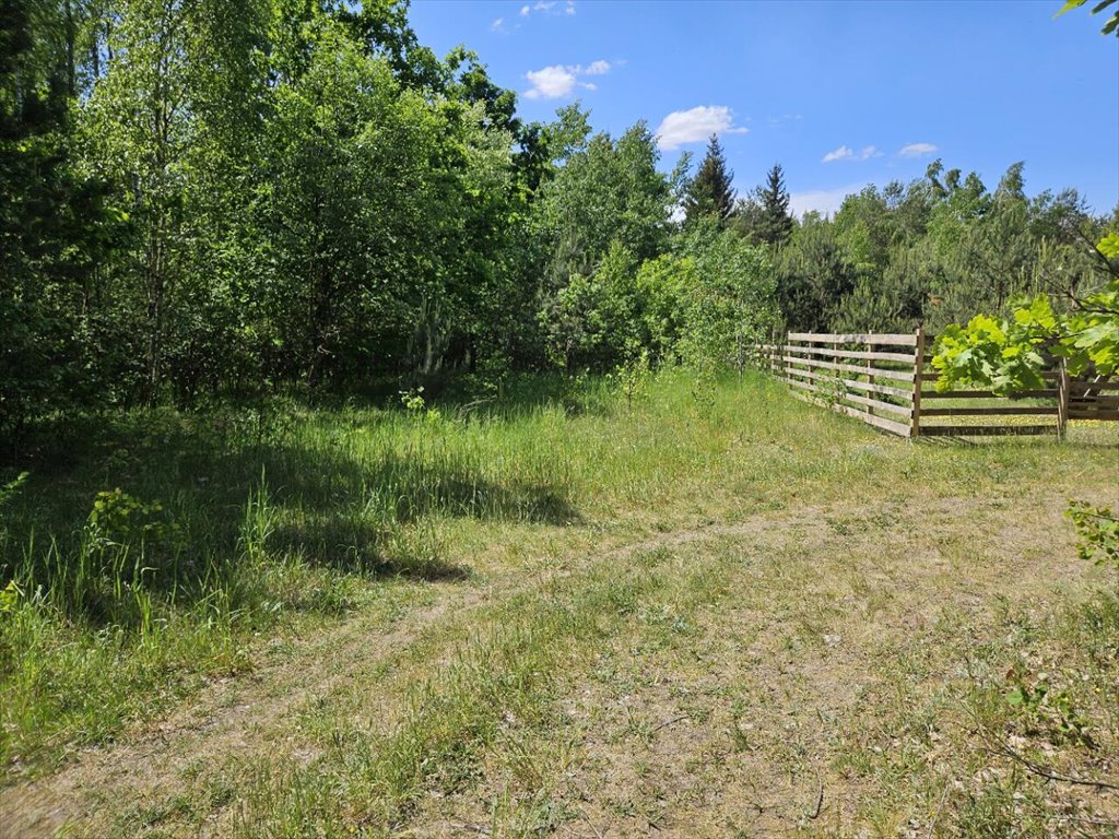 Działka rolna z warunkami zabudowy i lasem, media w pobliżu Olszyny  4 582m2 Foto 1