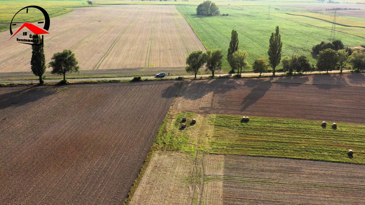 Działka gospodarstwo rolne na sprzedaż Twierdziń  3 000m2 Foto 9