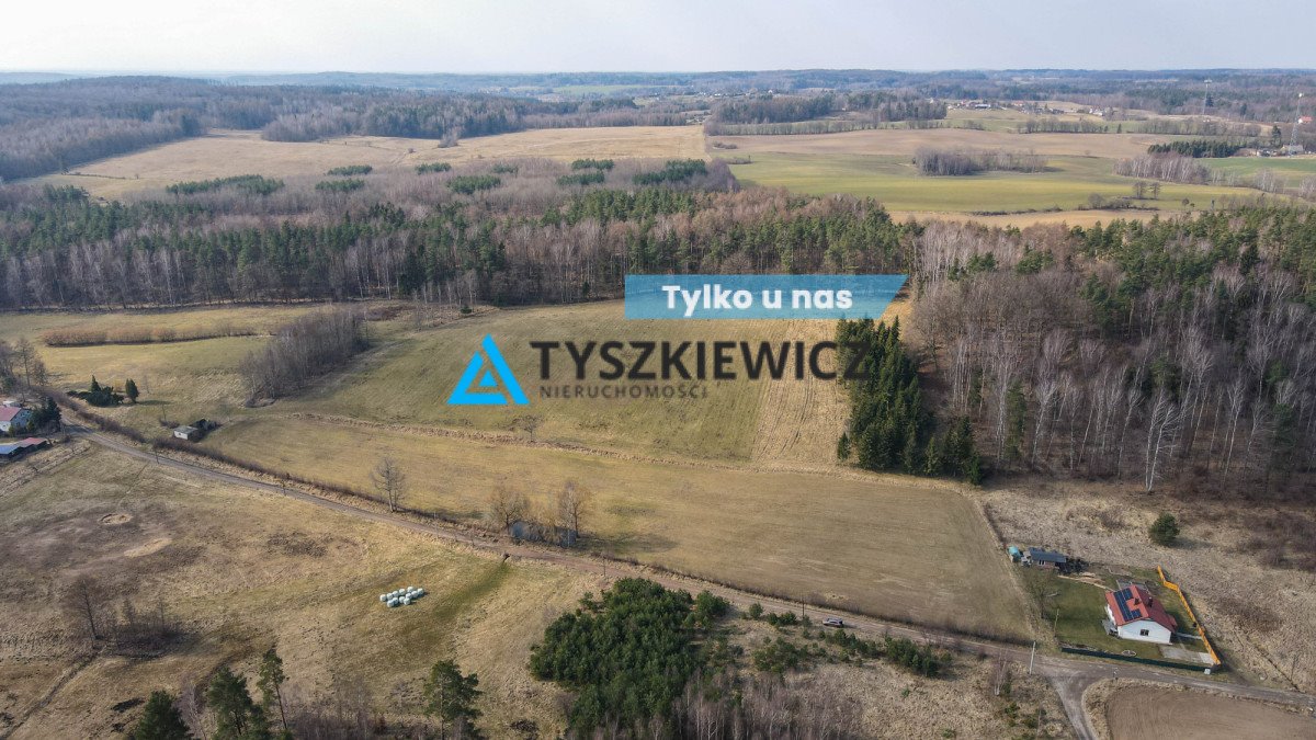 Działka 61 ha w Mierzeszynie – las, widoki, inwestycje Mierzeszyn, Leśna  61 100m2 Foto 1